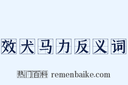 效犬马力反义词是什么意思的图片